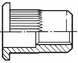 Заклепка резьбовая полнопроходная цилиндрическая со стандартным бортиком, с насечкой ITTG